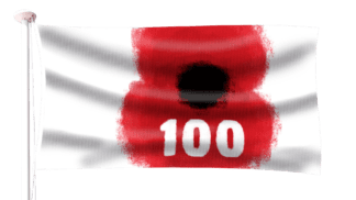 Armistice 100 Centenary Flag