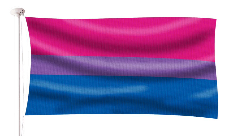 Bisexual Pride Flag Hampshire Flag Company 