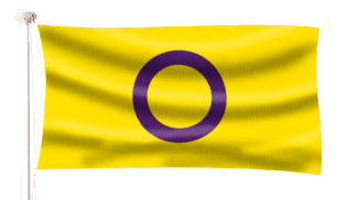 Intersex Pride Flag