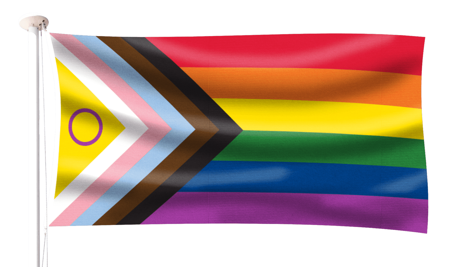 Intersex Progress Pride Flag Hampshire Flag Company