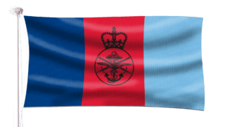 Joint Service Flag