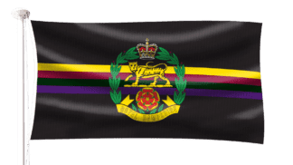 Royal Hampshire Regiment Flag