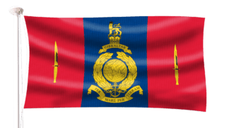Royal Marines 45 Commando Flag