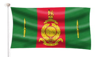 Royal Marines Commando Training Flag