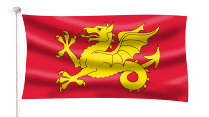 Wessex Wyvern Flag