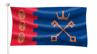 Willenhall Flag