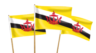 Brunei Handwaving Flags