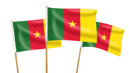 Cameroon Handwaving Flags