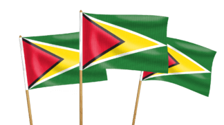 Guyana Handwaving Flags