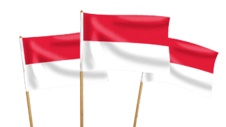 Indonesia Handwaving Flags