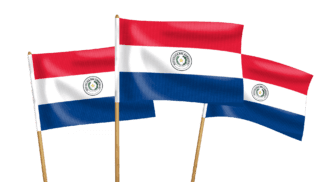 Paraguay Handwaving Flags