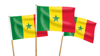Senegal Handwaving Flags