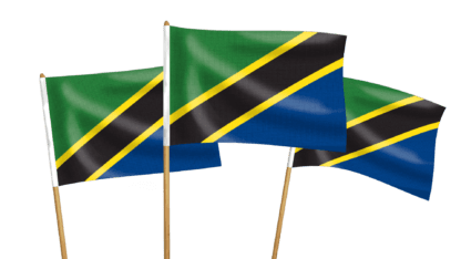 Tanzania Handwaving Flags