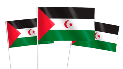Western Sahara Handwaving Flags