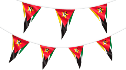 Mozambique Bunting