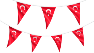 Turkey Bunting