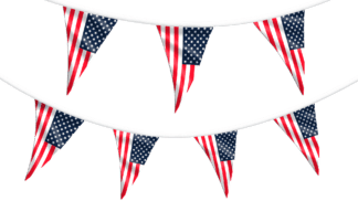 United States of America Bunting