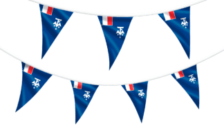 French Southern and Antarctic Lands Bunting