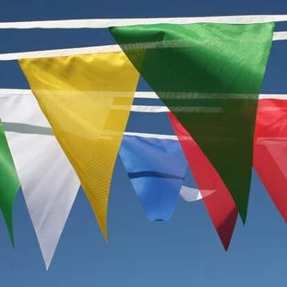 Coloured Bunting