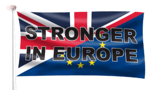 Brexit Stronger in Europe Flag